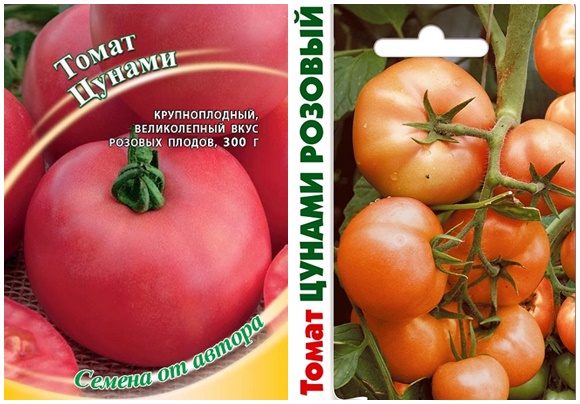זרעי עגבניות צונאמי