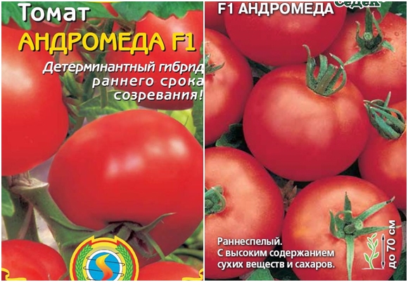 andromeda tomātu sēklas