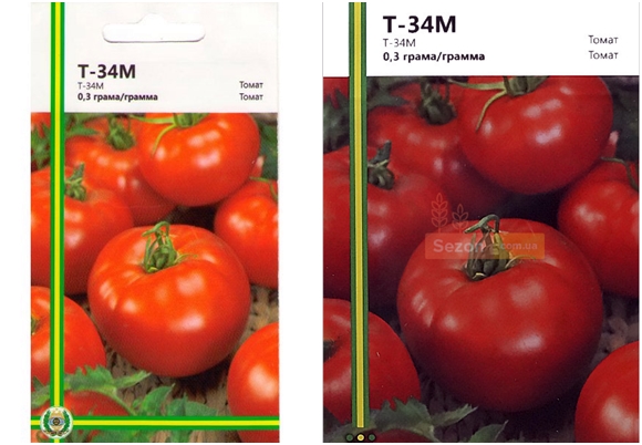 semená paradajok t 34