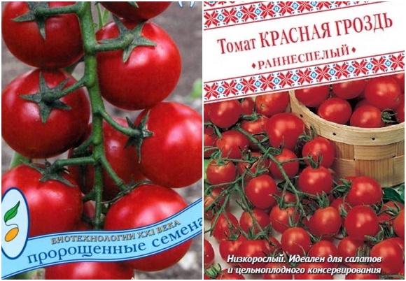tomato seeds red bunch