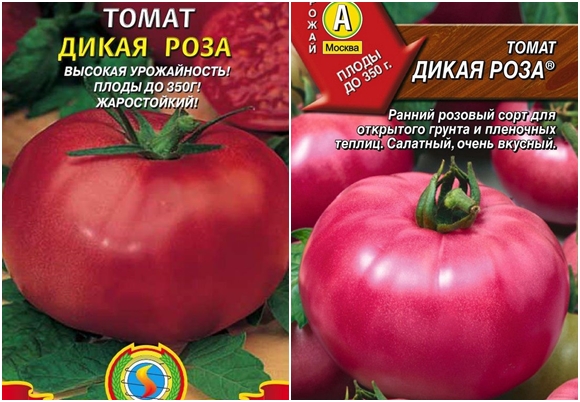 tomatfrø vildros