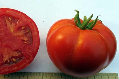 Aspect tomate Persoana mare F1