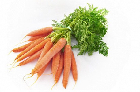 trồng cà rốt