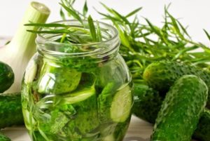 Een eenvoudig recept voor het beitsen van komkommers met dragon voor de winter