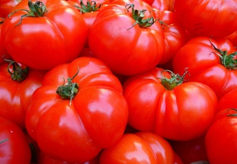 udseende af tomater Sibiryak