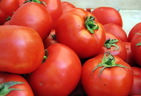 Familien Tomaten Aussehen