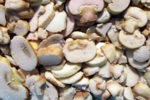 How to freeze oyster mushrooms for the winter at home