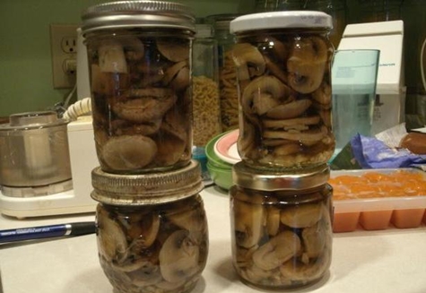squeaky mushrooms in jars