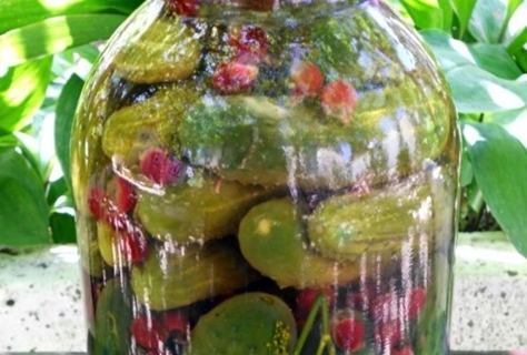 ingelegde komkommers met basilicum in een pot