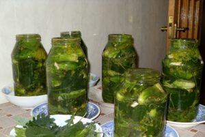Opskrifter på syltede agurker med egeblade til vinteren i krukker
