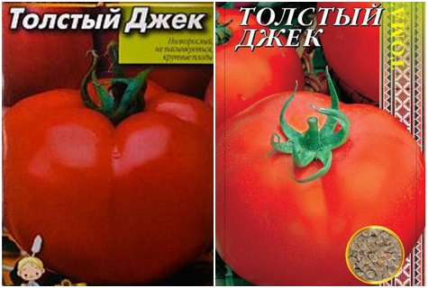 tomātu sēklas Tauks Džeks