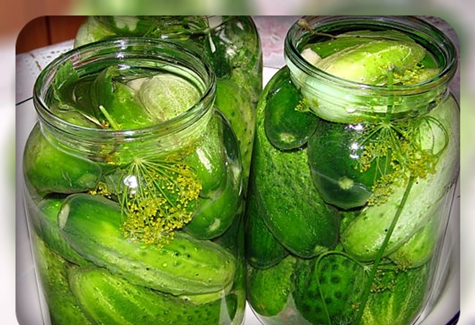moriace uhorky v pohári