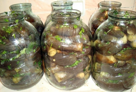 marinované baklažány v azerbajdžanskom štýle v pohári