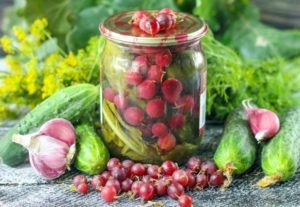 La ricetta per i cetrioli sottaceto con uva spina per l'inverno senza aceto