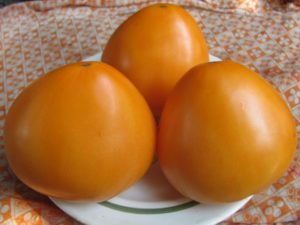 Characteristics and description of the tomato variety Golden domes, its yield