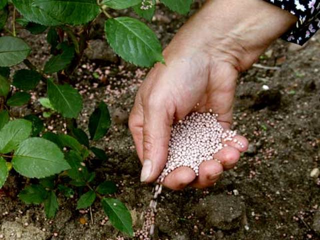 soil fertilization