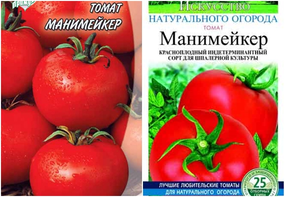 producent nasion pomidora