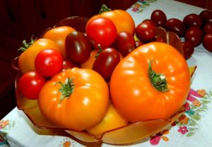 Đặc điểm và mô tả về giống cà chua cam khổng lồ, năng suất của nó