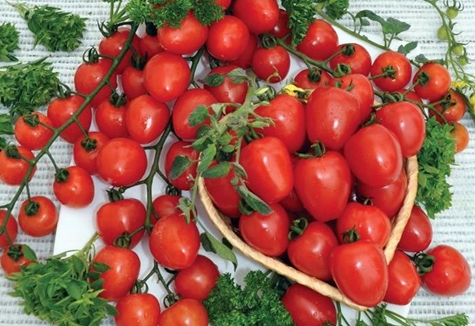 išvaizda vyšniniai pomidorai braškės F1