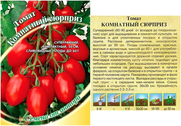 semillas de tomate sorpresa de interior