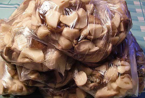 funghi ostrica in un sacchetto per il congelamento
