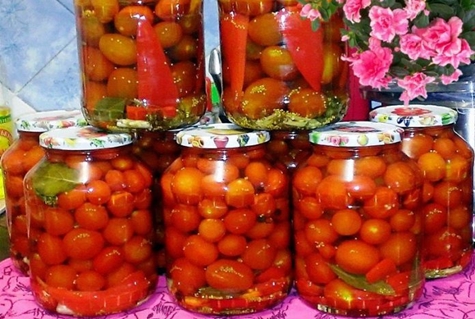 Tomaten mit Senfkörnern in Gläsern