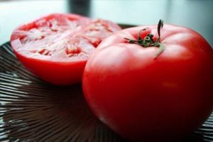 Katya tomātu šķirnes raksturojums un apraksts, tās raža