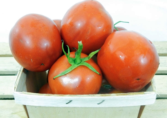 tomate moneymaker en canasta
