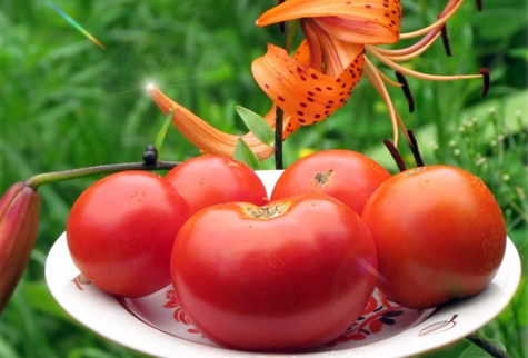 Sibiryachok tomat på en tallerken