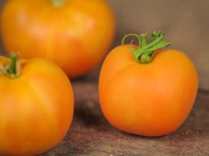 Egenskaber og beskrivelse af tomatsorten Peach, dens udbytte