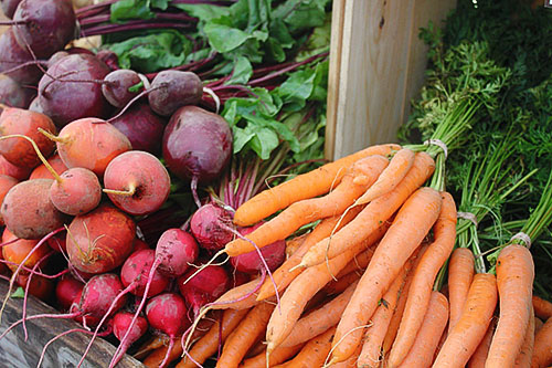 cà rốt và củ cải đường