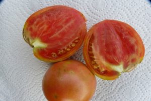 Egenskaper och beskrivning av Miracle Walford-tomatsorten, dess utbyte