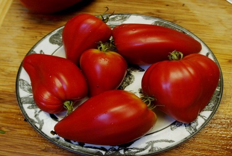 tomaatit lautaselle