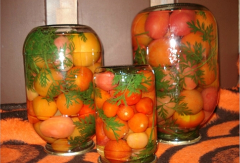 rajčata s karotkou ve sklenicích