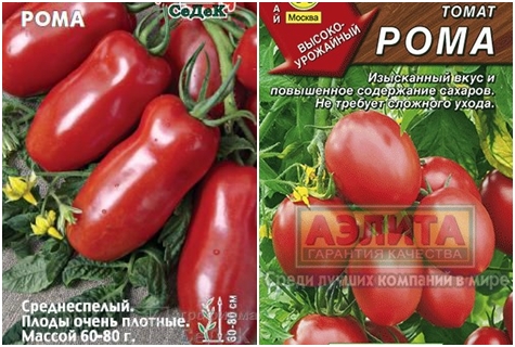 nasiona pomidorów Roma
