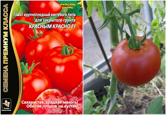 tomato seeds Red Red F1