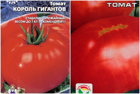 paradajkové semená kráľa gigantov