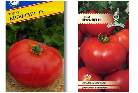 tomaatin siemenet Erofeich F1
