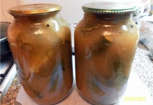 Opskrifter på dåse agurker i æblejuice til vinteren