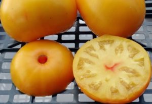 Eigenschaften und Beschreibung der Tomatensorte Omas Kuss, ihr Ertrag