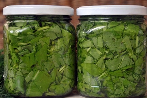 sorrel with herbs in a jar