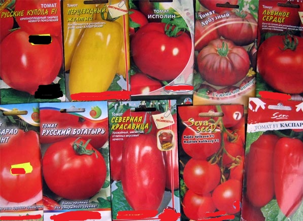 tomaattilajikkeet