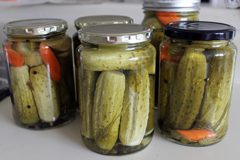 nakládané okurky s celerem ve sklenicích