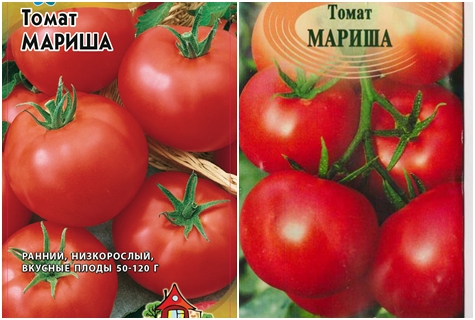 domates tohumları Marisha