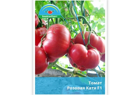 arbustos de tomate rosa Katya f1