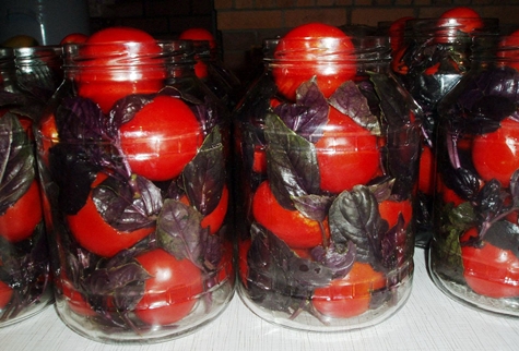 tomates con albahaca en un frasco