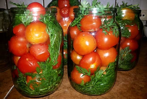 tomaatit porkkana-toppeilla pöydällä