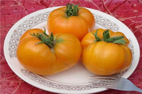 עגבניות על צלחת