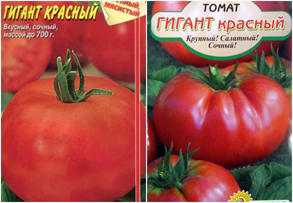 paradajkové semená obrie červené