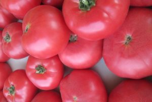 Ahududu devi domates çeşidinin özellikleri ve tanımı, verimi